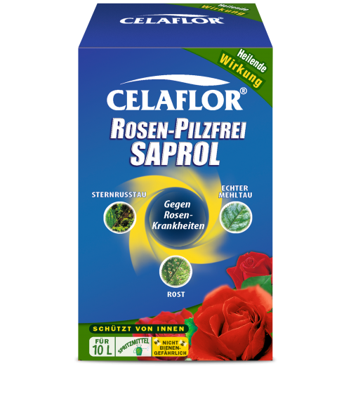 CELAFLOR® Rosen-Pilzfrei Saprol Konzentrat